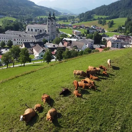 Pacher Gospodarstwo agroturystyczne Spital Am Pyhrn