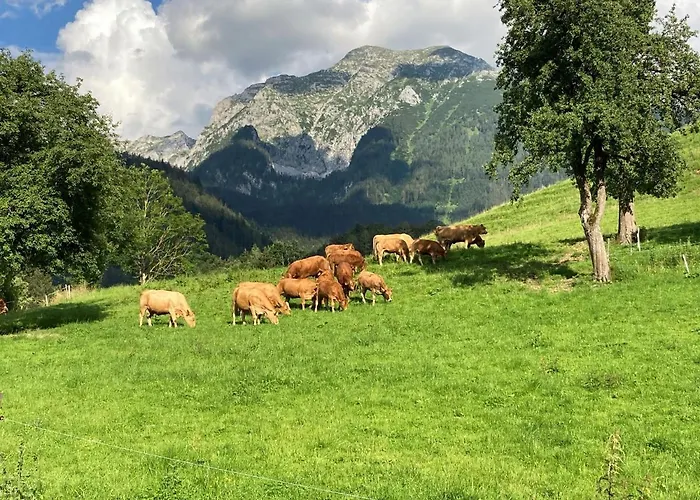 Séjour à la ferme Pacher *