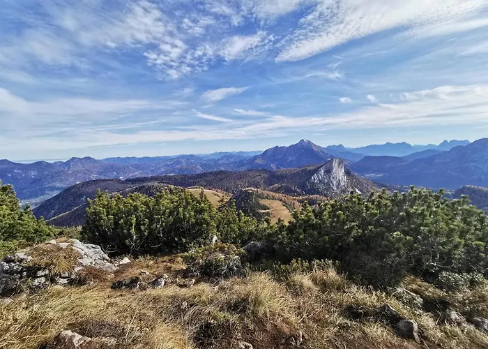 Κατάλυμα σε φάρμα Pacher